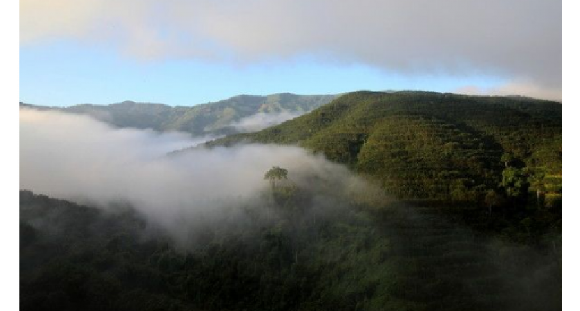 兰妃印象•2018寻茶之旅